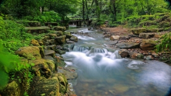 讓天更藍，水更清——浙江扎實(shí)做好中央生態(tài)環(huán)保督察整改綜述
