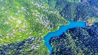 【中國水利報】貫徹幸福河理念推動(dòng)桐廬美麗河湖提檔升級